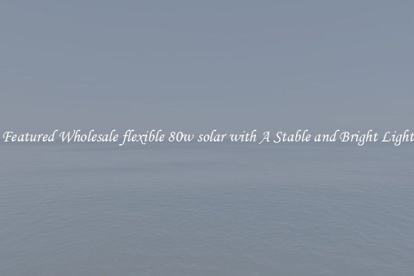 Featured Wholesale flexible 80w solar with A Stable and Bright Light