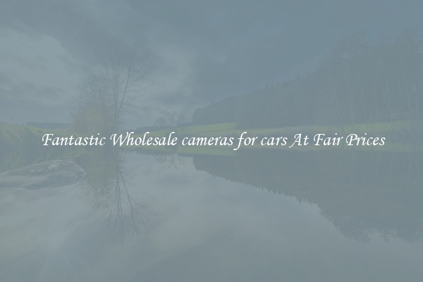 Fantastic Wholesale cameras for cars At Fair Prices