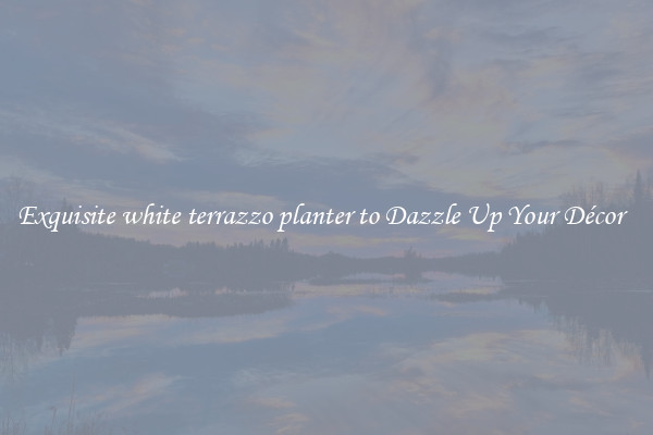 Exquisite white terrazzo planter to Dazzle Up Your Décor  