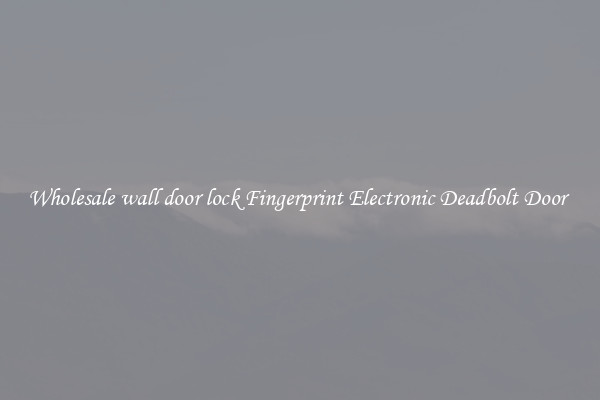 Wholesale wall door lock Fingerprint Electronic Deadbolt Door 