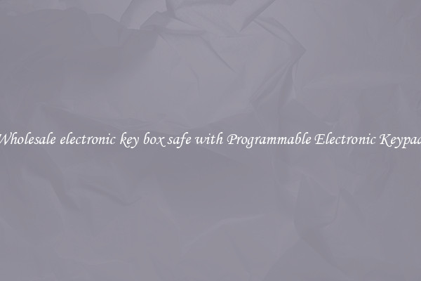 Wholesale electronic key box safe with Programmable Electronic Keypad 