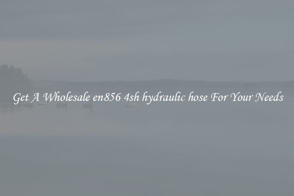 Get A Wholesale en856 4sh hydraulic hose For Your Needs