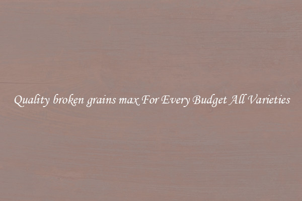 Quality broken grains max For Every Budget All Varieties
