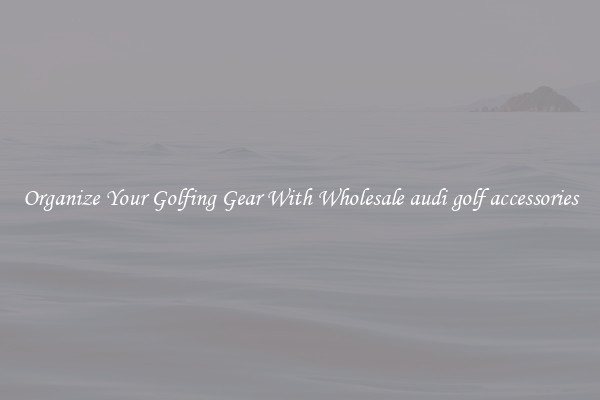 Organize Your Golfing Gear With Wholesale audi golf accessories