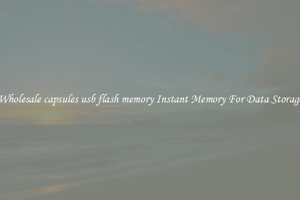 Wholesale capsules usb flash memory Instant Memory For Data Storage