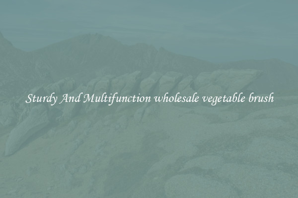 Sturdy And Multifunction wholesale vegetable brush