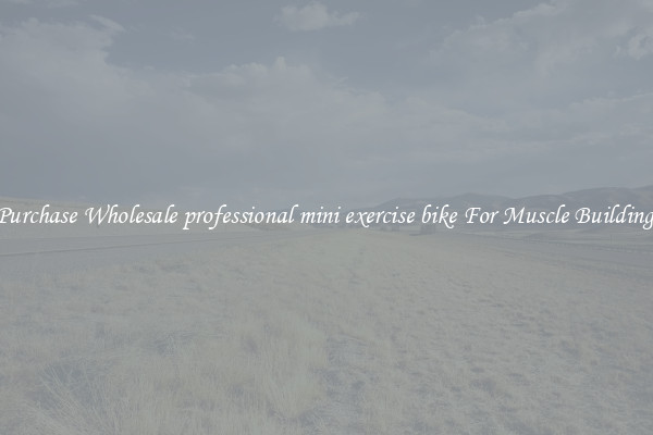 Purchase Wholesale professional mini exercise bike For Muscle Building.