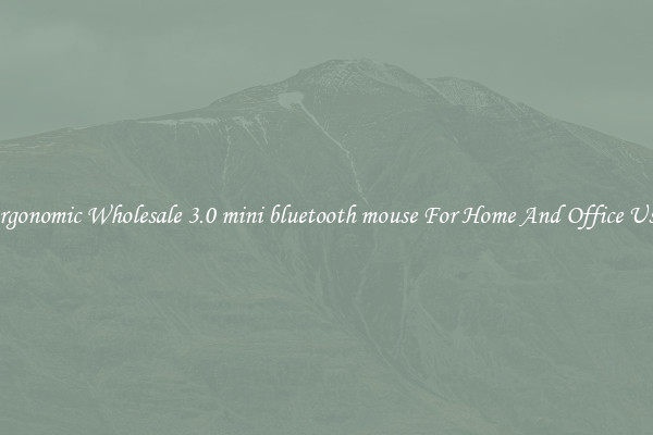Ergonomic Wholesale 3.0 mini bluetooth mouse For Home And Office Use.