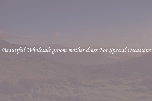 Beautiful Wholesale groom mother dress For Special Occasions