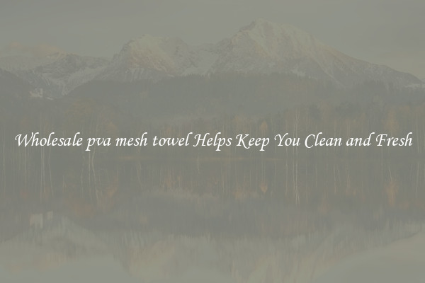 Wholesale pva mesh towel Helps Keep You Clean and Fresh