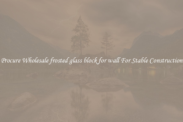 Procure Wholesale frosted glass block for wall For Stable Construction