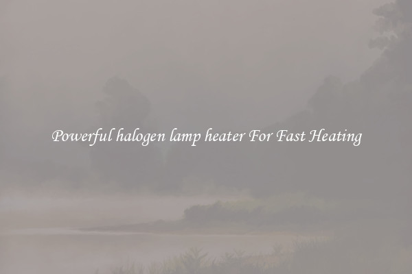 Powerful halogen lamp heater For Fast Heating