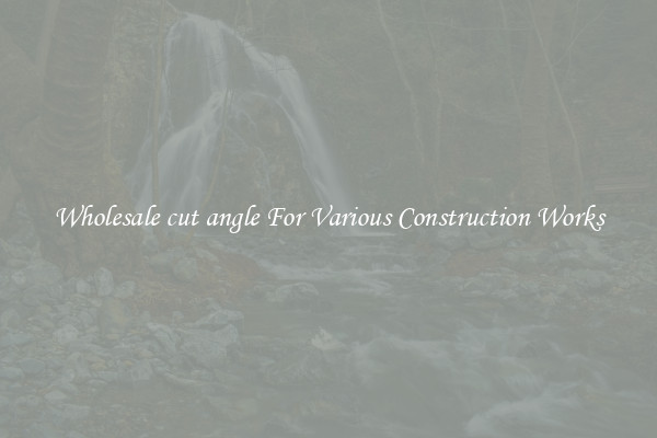 Wholesale cut angle For Various Construction Works