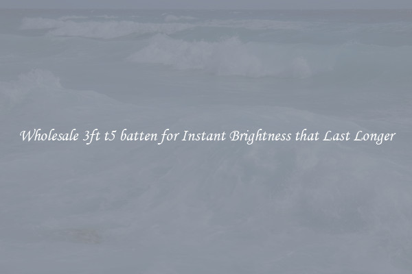 Wholesale 3ft t5 batten for Instant Brightness that Last Longer