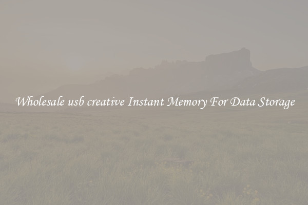 Wholesale usb creative Instant Memory For Data Storage