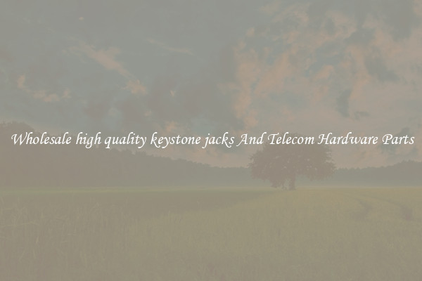 Wholesale high quality keystone jacks And Telecom Hardware Parts