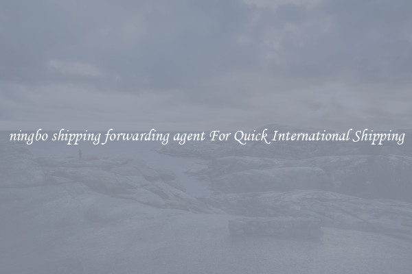 ningbo shipping forwarding agent For Quick International Shipping