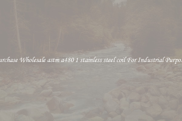 Purchase Wholesale astm a480 1 stainless steel coil For Industrial Purposes