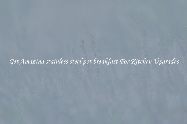 Get Amazing stainless steel pot breakfast For Kitchen Upgrades